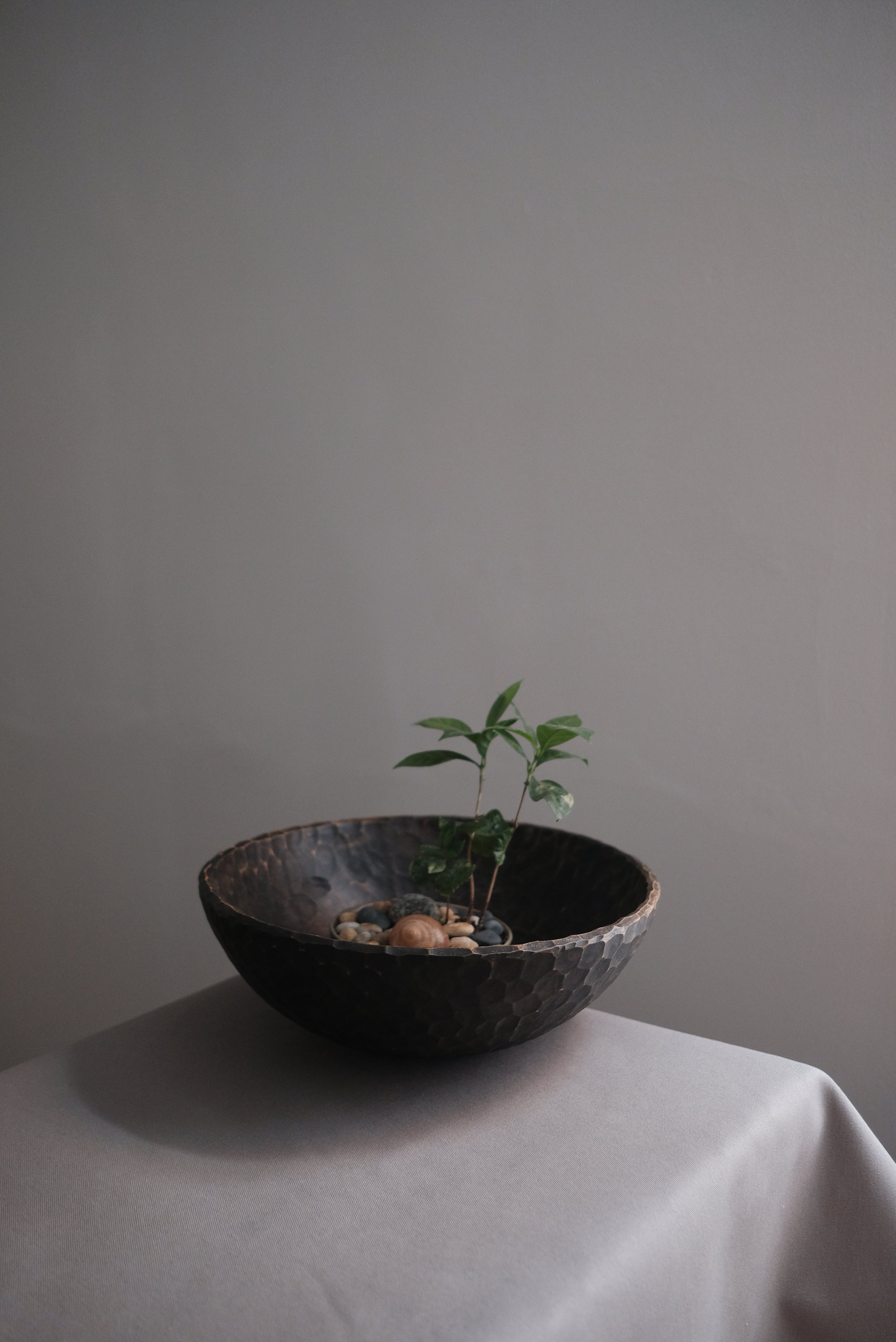 Japanese Bowl Medium