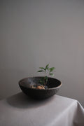 Japanese Bowl Medium
